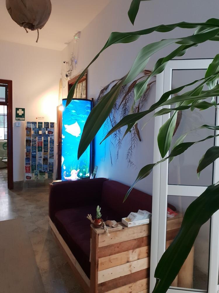Cactus Host Hostel Las Palmas de Gran Canaria Kültér fotó